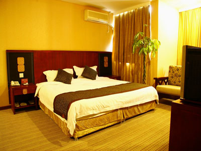 ��ꖽ����̄վƵ�